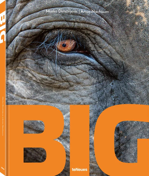 Big by Marko Dimitrijevic/Amos Nachoum