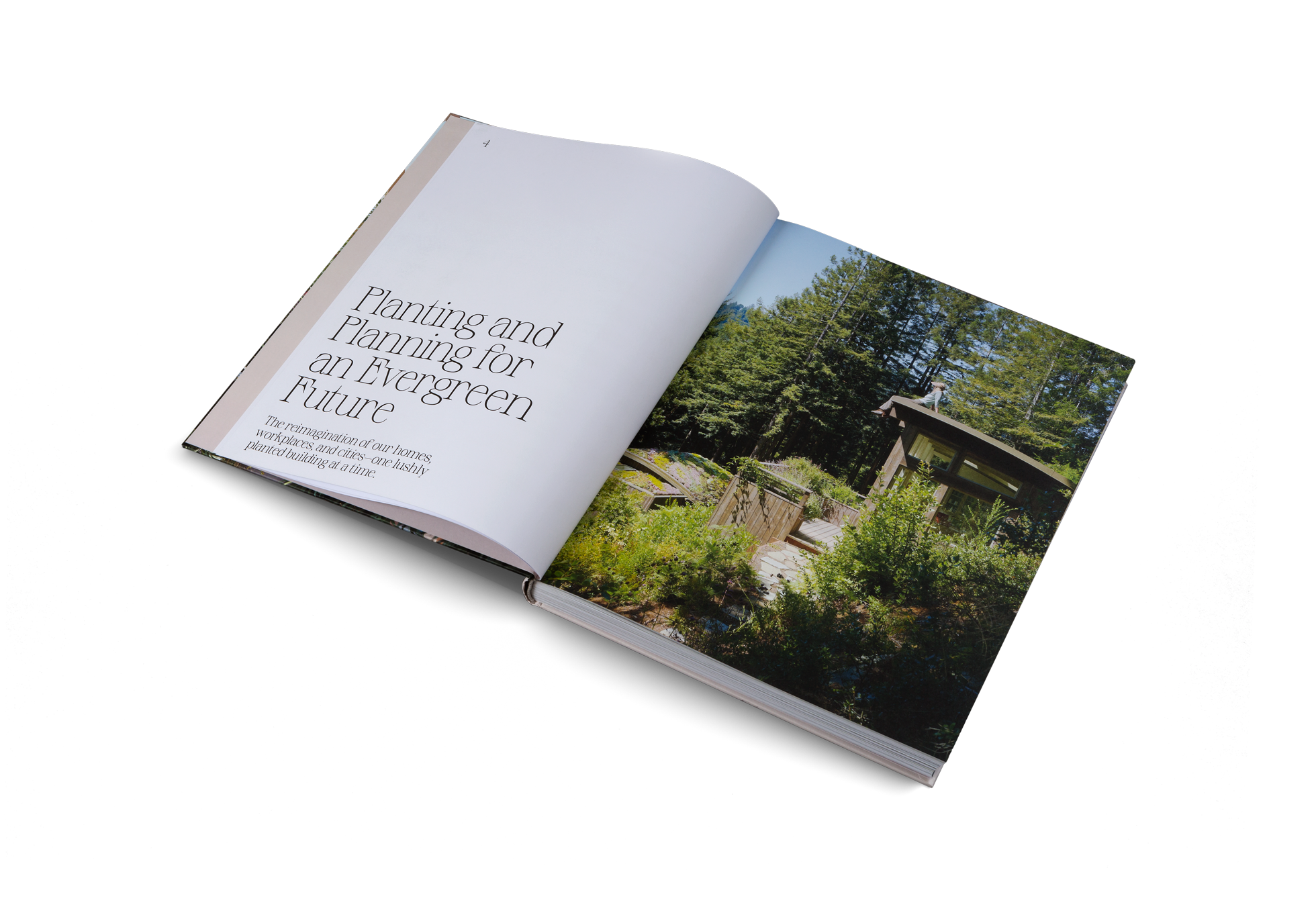 Evergreen Architecture