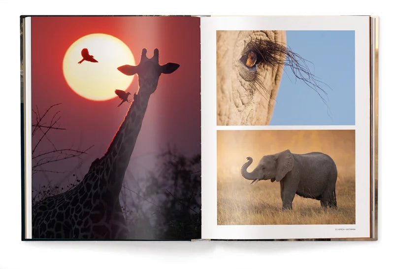 A Tribute to Mother Earth Marsel van Oosten